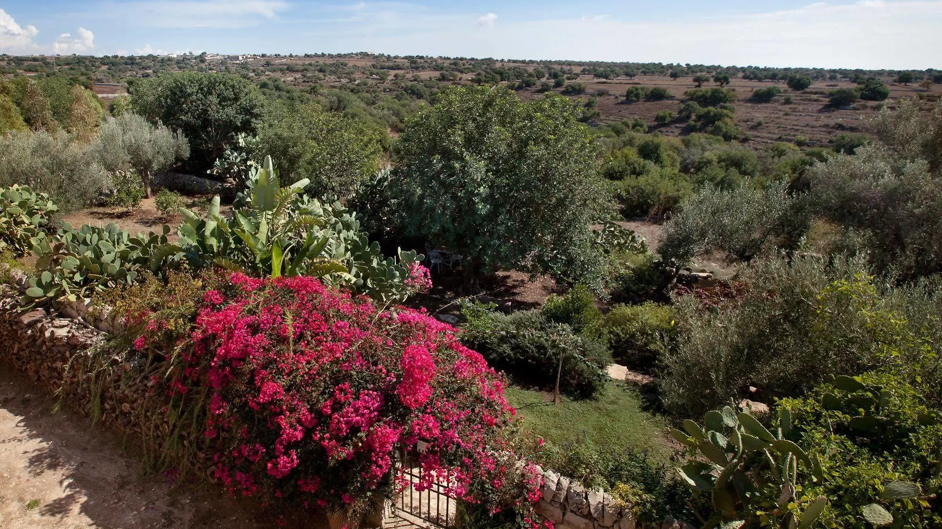 Tenuta Cammarana Donnafugata