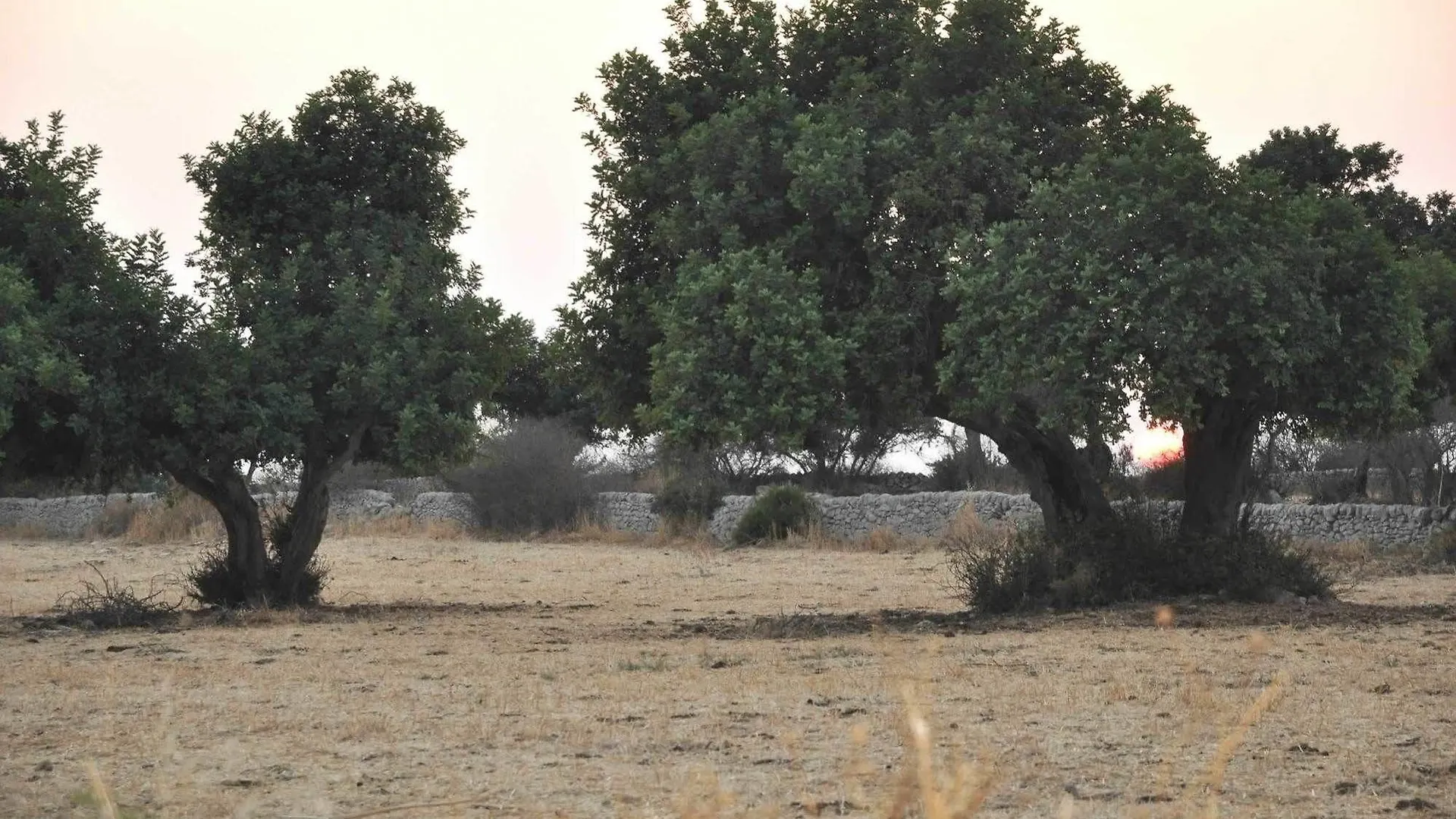 Tenuta Cammarana Donnafugata Itálie